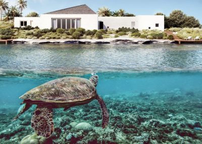 Turtle House – Mario Nuñez